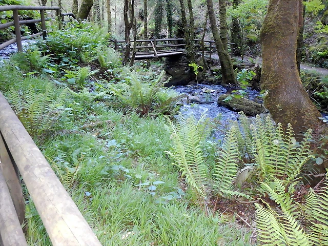 DSCN4757 DSCN4757