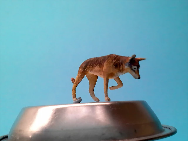 20180507_184020 20180507_184020