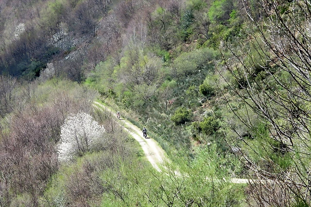 IMG_6864 IMG_6864