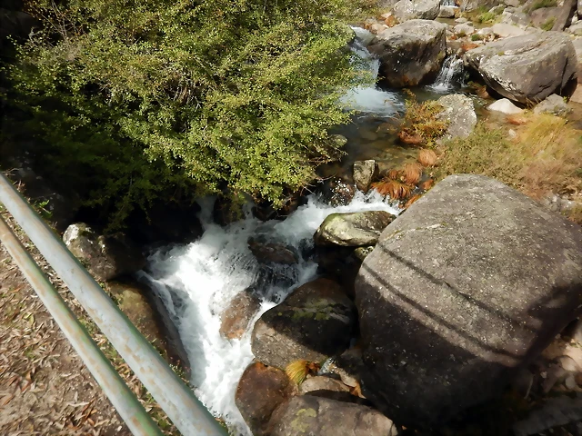 DSCN1962 DSCN1962