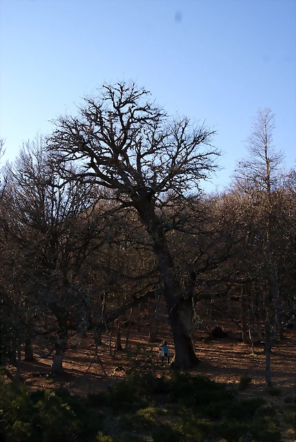 DSC03256 DSC03256