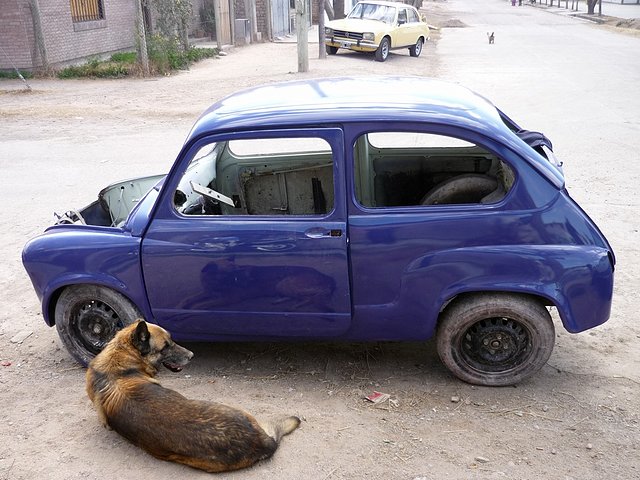 Fito Pintado