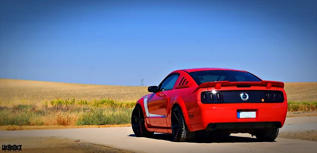DSC_0366 DSC_0366
