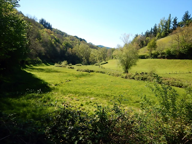 DSCN0054 DSCN0054