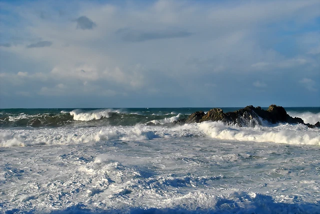 DSC_0601 DSC_0601