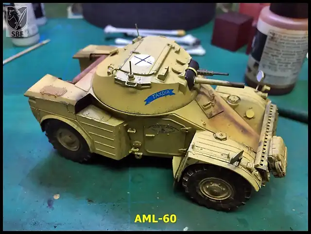 AML-60 019