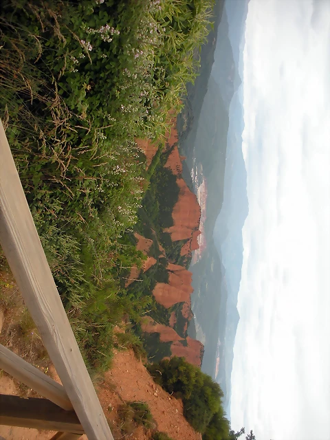 DSCN6259 DSCN6259