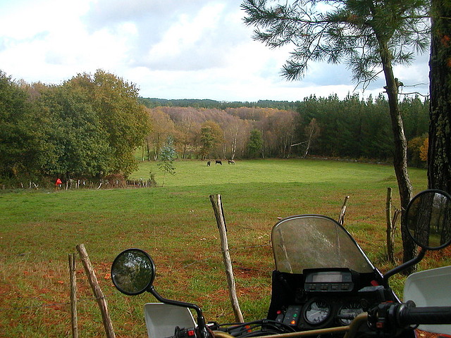 DSCN4711 DSCN4711