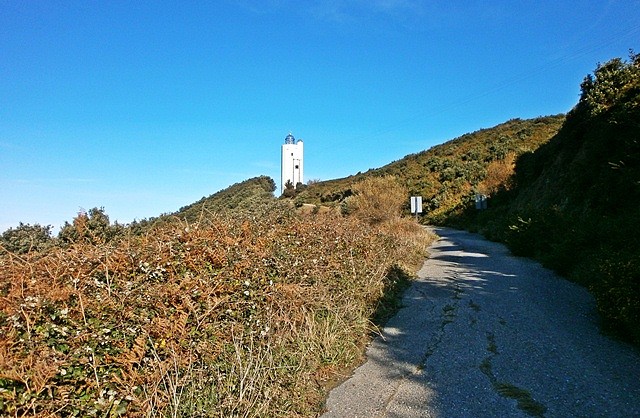 Faro Billano (12)