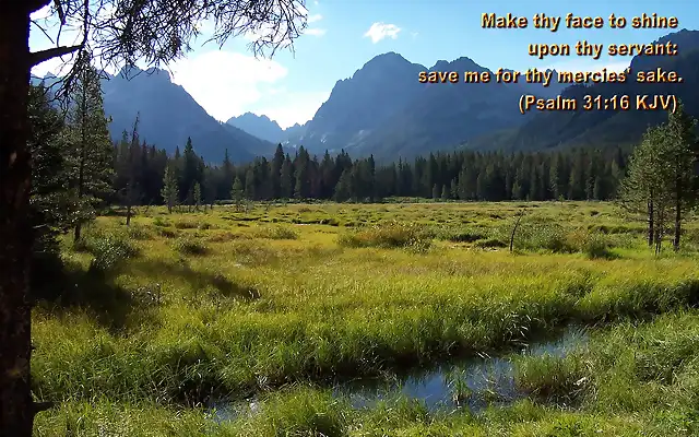 psalm-31_16