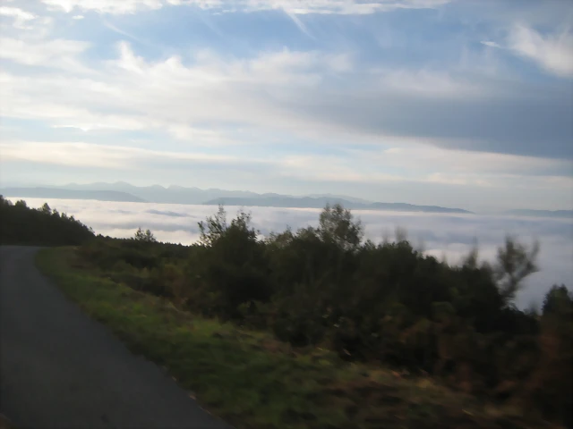 IMG_0343 IMG_0343