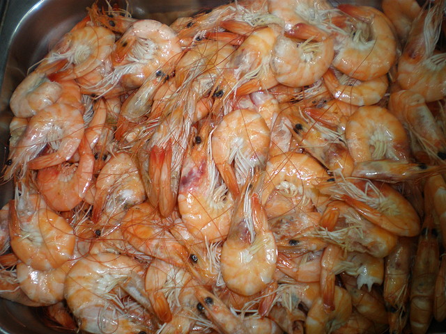 gambas gambas