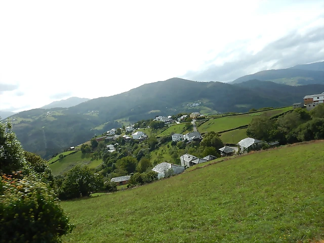 DSCN0396 DSCN0396