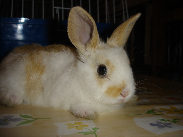 DSC06561