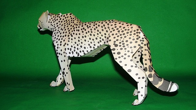 Cheetah (Papercraft) By Pendragon