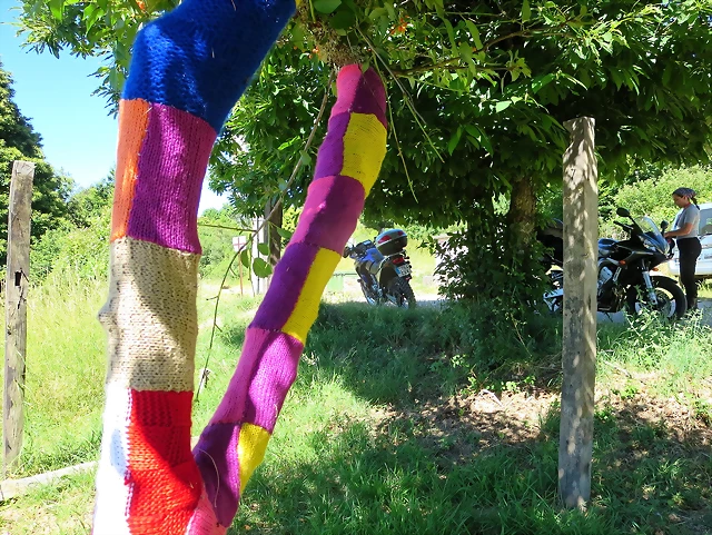IMG_3435 IMG_3435