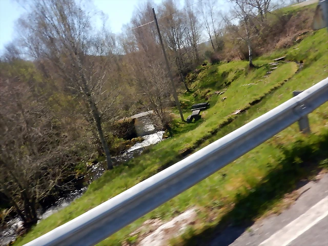 DSCN5685