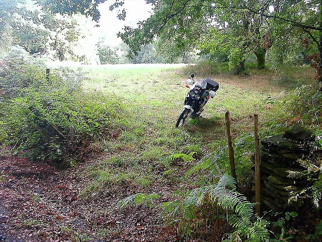 DSCN5254 DSCN5254