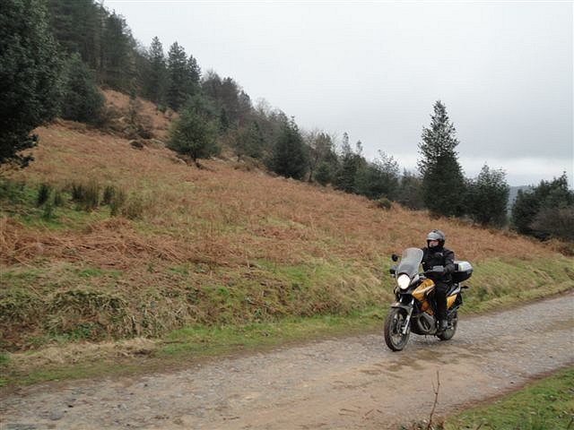 DSC00313 DSC00313