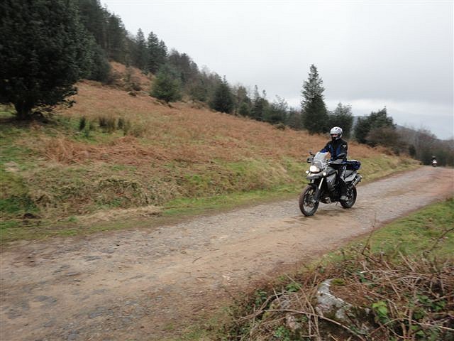 DSC00312 DSC00312