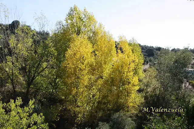 01, puente de la lanzada 1, marca