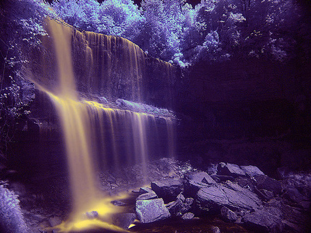 infraredphotography3 infraredphotography3
