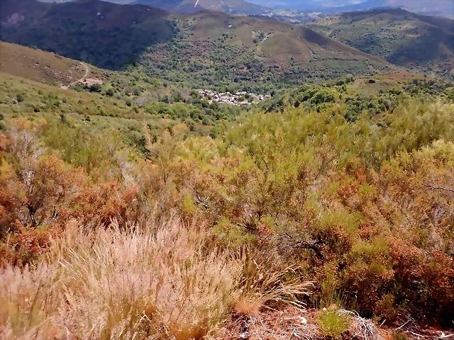 DSCN3027 DSCN3027