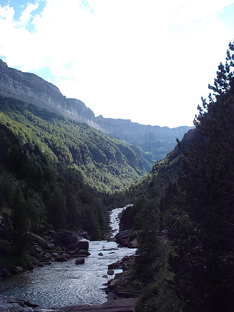 DSCF2276 DSCF2276