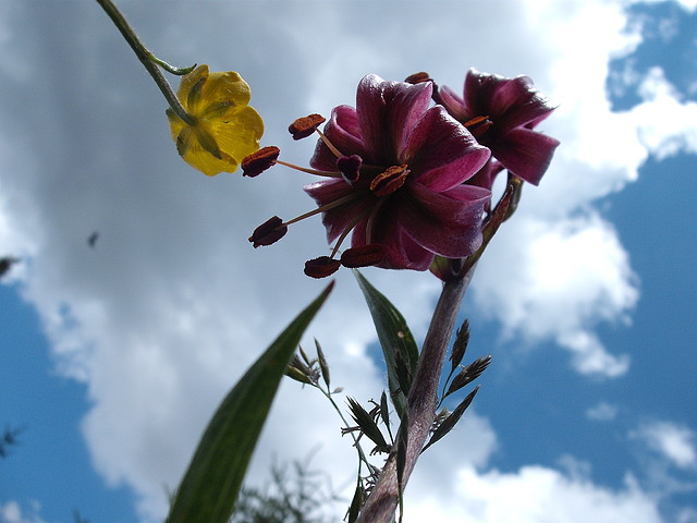 DSCF2245 DSCF2245