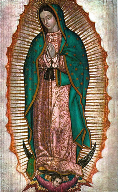 guadalupe5kh guadalupe5kh