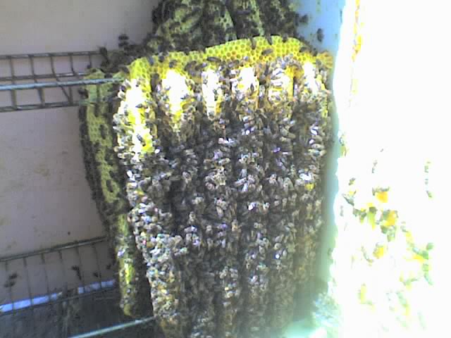 01-09-08_1327 01-09-08_1327