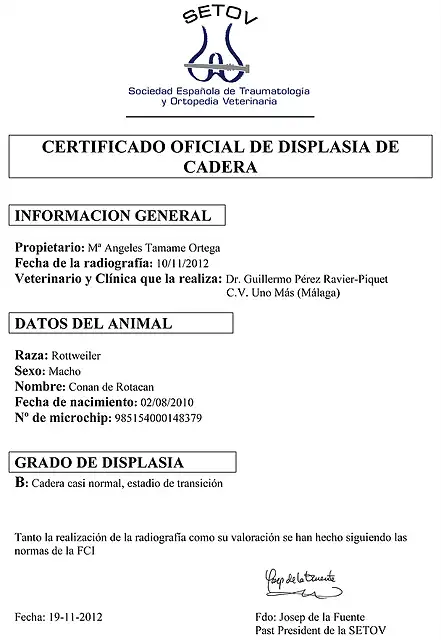 Certificado de displasia de cadera 20121119 Conan