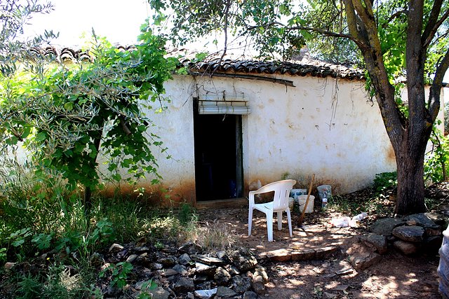 cortijo andrs caballo