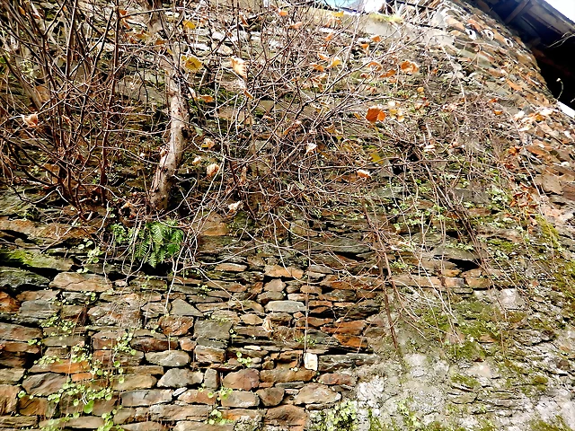 DSCN3221 DSCN3221