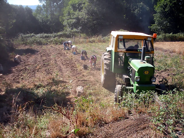John Deere patatas John Deere patatas