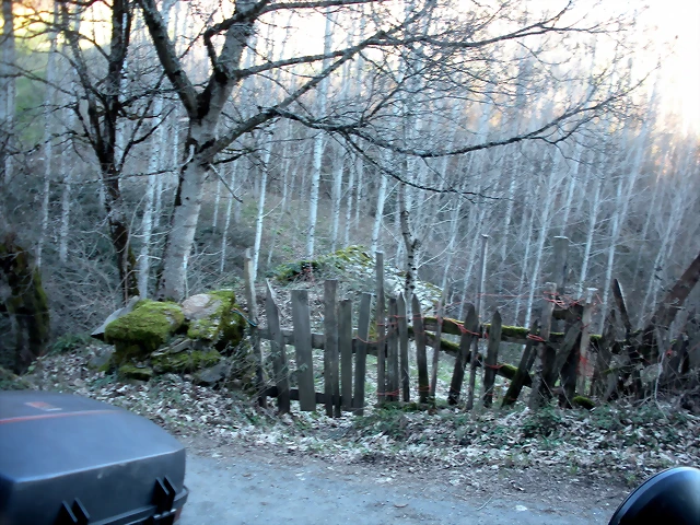 DSCN2390 DSCN2390