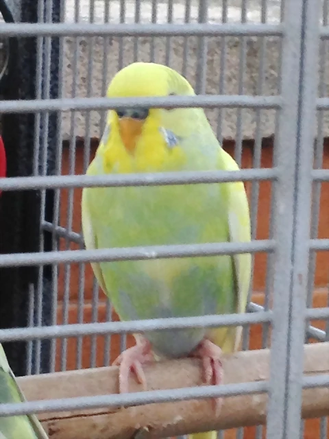 la foto 2 la foto 2