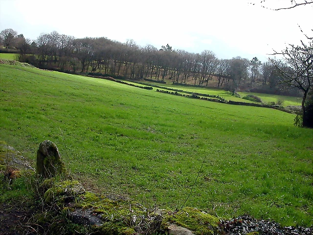 DSCN7340 DSCN7340