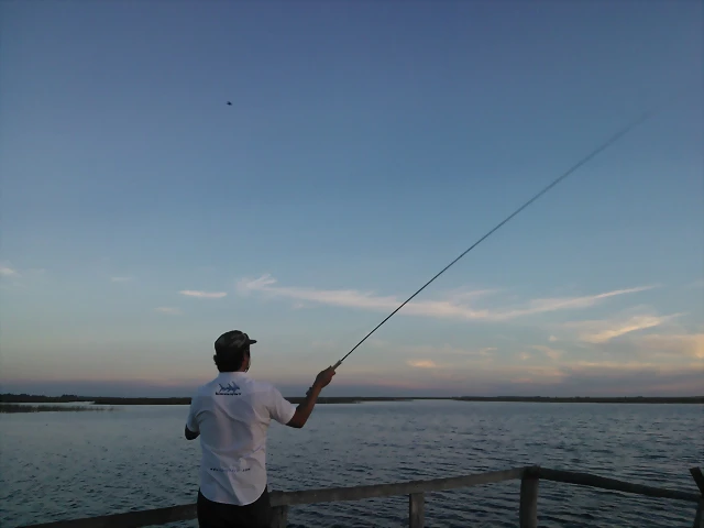 WP_000184 WP_000184