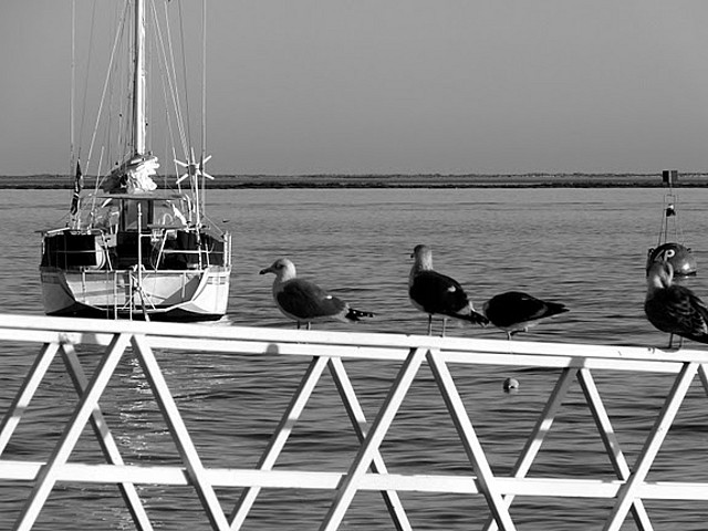 P1070861 P1070861