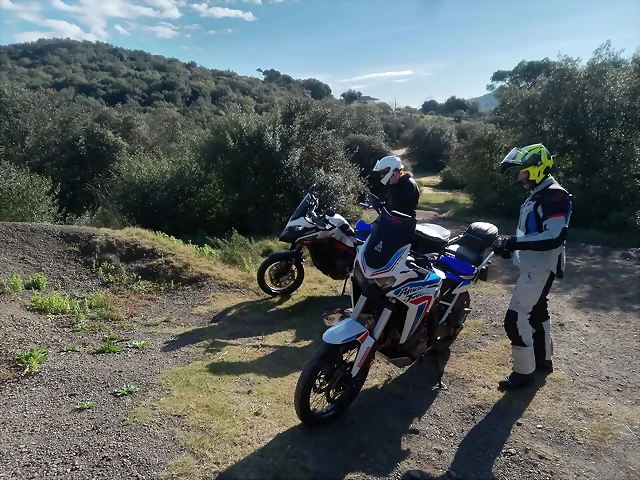 y23 y23