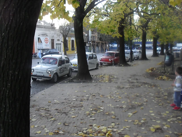 SDC12546 SDC12546