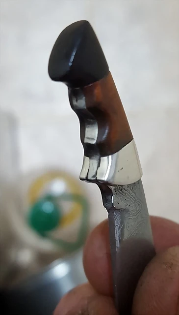 20190122_213748 20190122_213748
