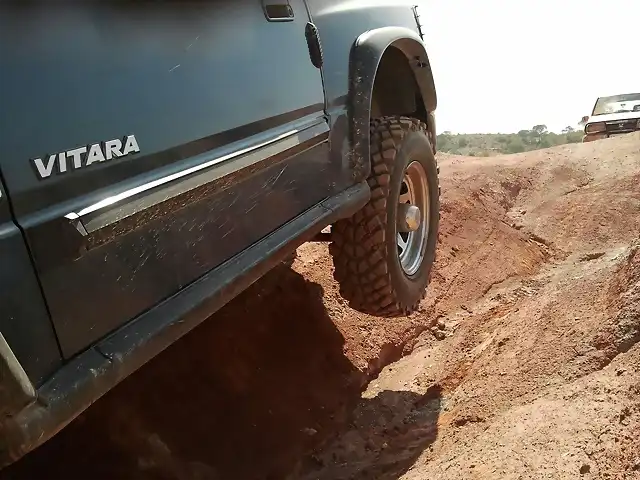 vitara levantando pata