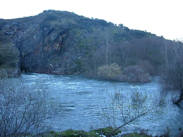 DSCN8125 DSCN8125