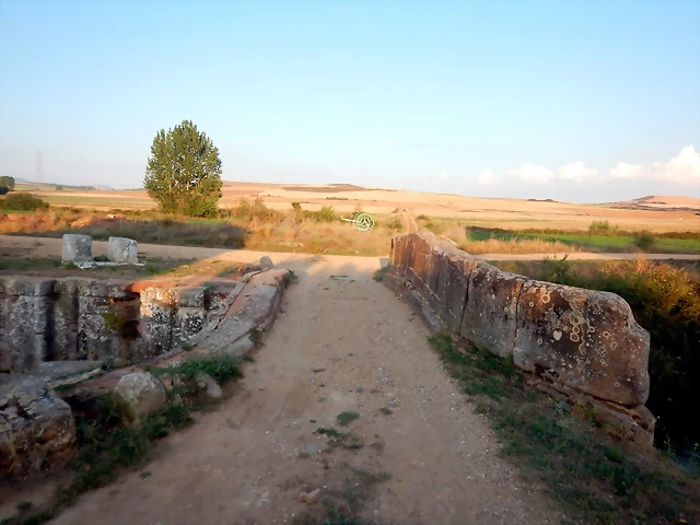 DSCN9540