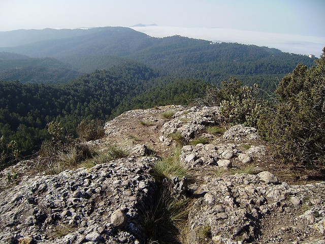 imag desde la Torrota