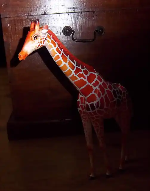 Girafa (20)