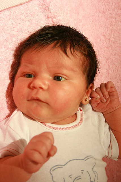 IMG_1270 IMG_1270