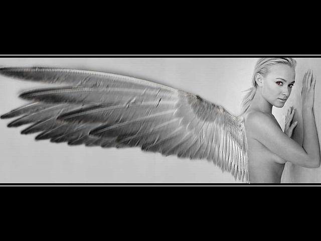 Fantasy-Angel-9738